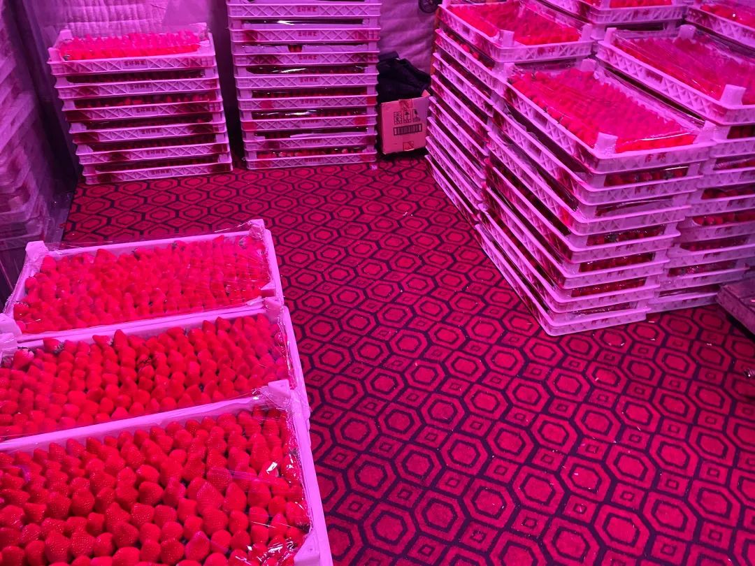 最会买的北京中产都去新发地了