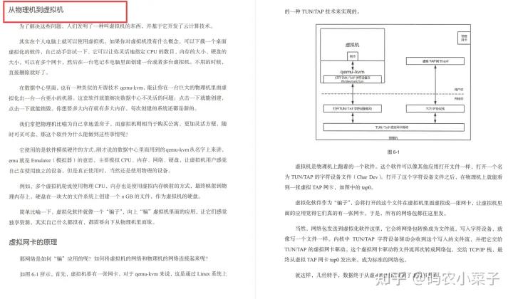 网络协议从入门到精通 (网络协议入门到精通)