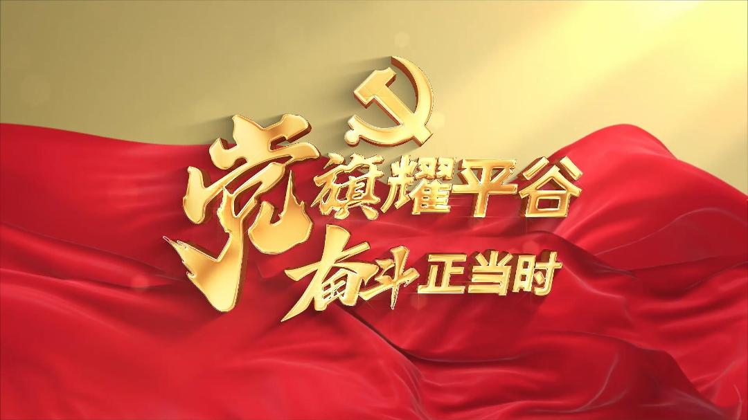 【*党**旗耀平谷奋斗正当时】微视频丨孙皓：播撒增收致富的“金种子”