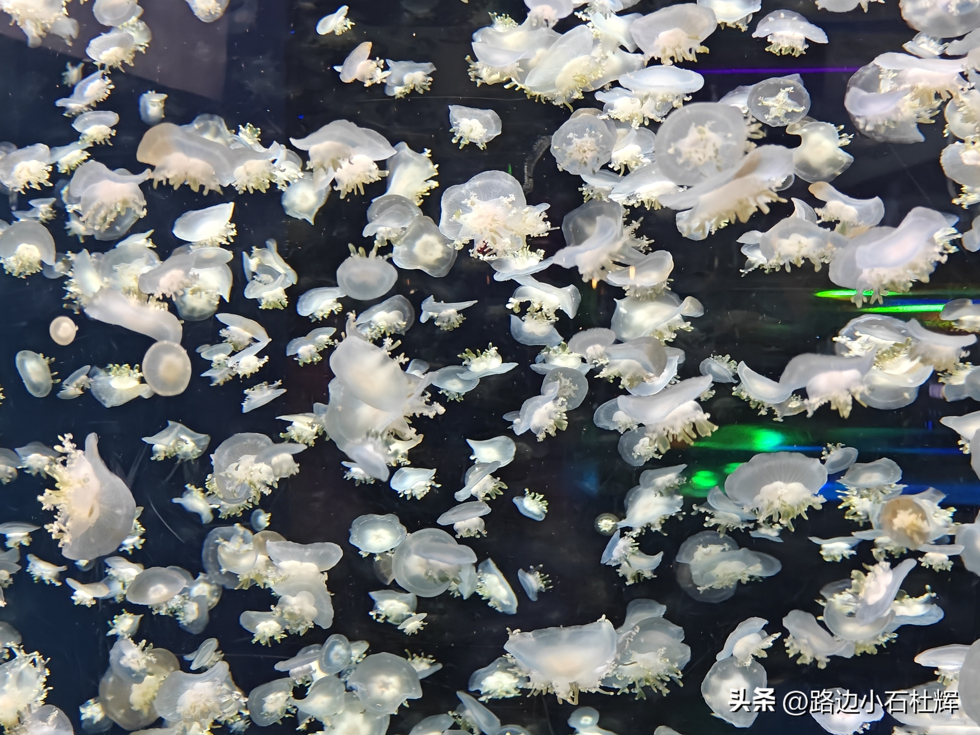 游游人间,游旅人间