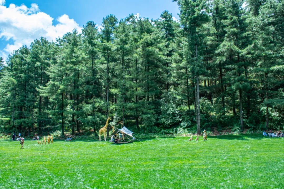 昆明避暑打卡第一天,昆明夏日清凉好去处