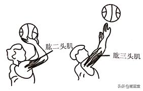 2021年江苏省苏州市初中生物结业考试