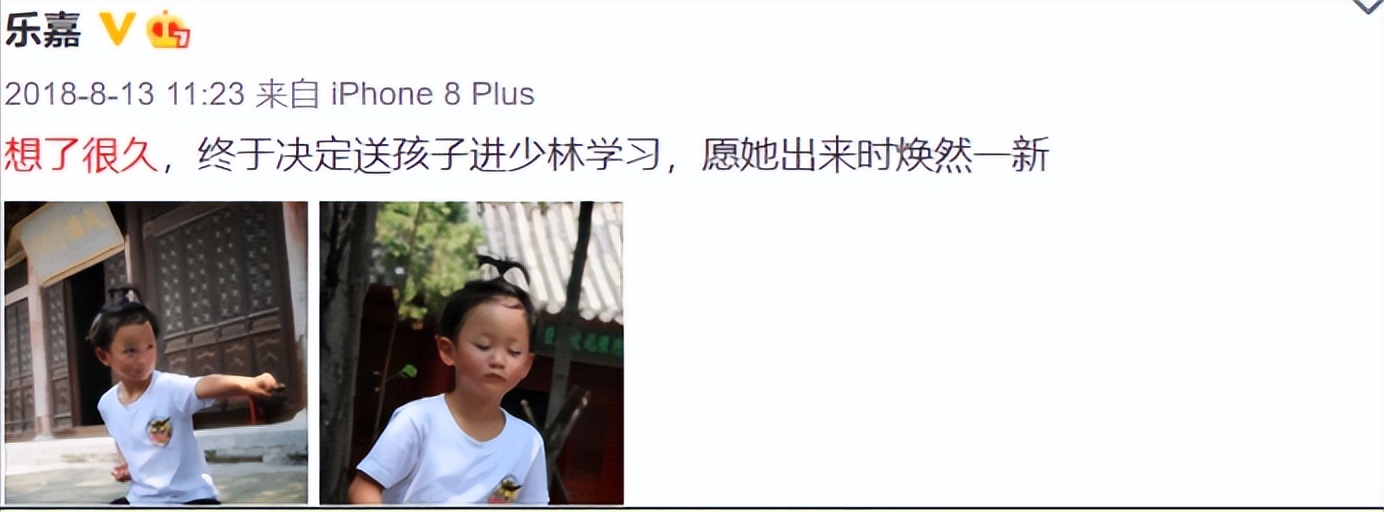 乐嘉成长经历过程,乐嘉失败的经历