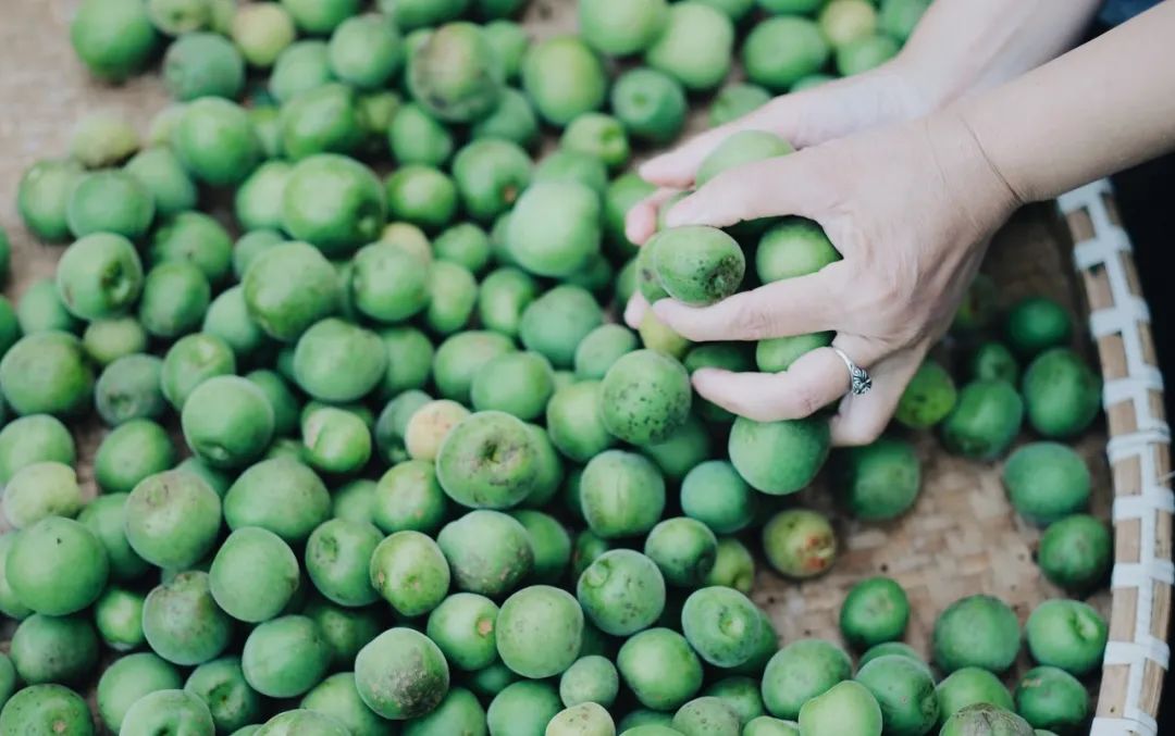 关于夏日荷花的诗句唯美,最美夏日诗词盘点
