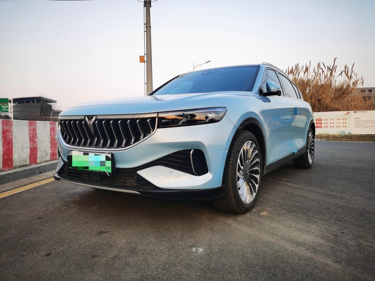 岚图FREE增程豪华版提车作业