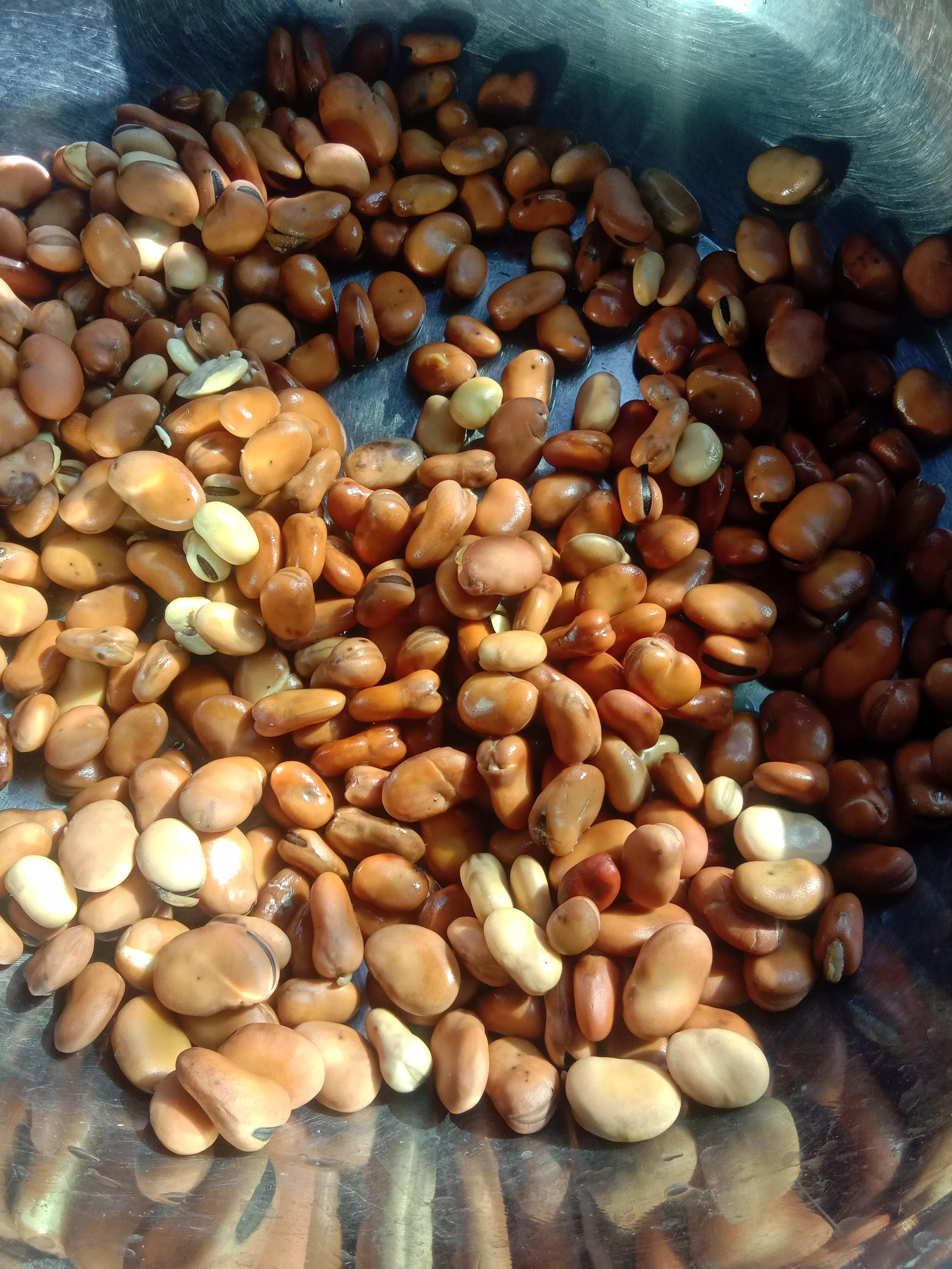 豆瓣酱中的绿霉，是黄曲霉毒素吗？