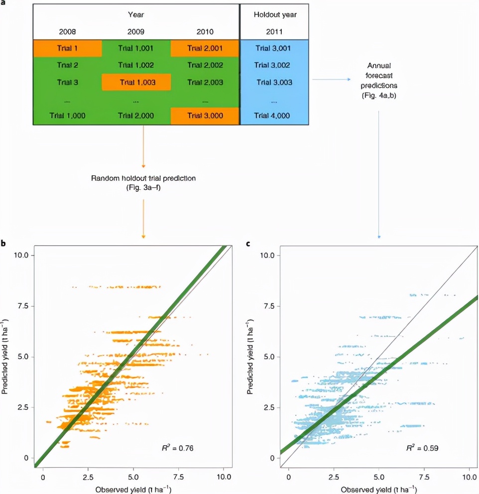 知耕快报｜作物基因组设计育种工具箱；Calyxt植物合成生物学方案