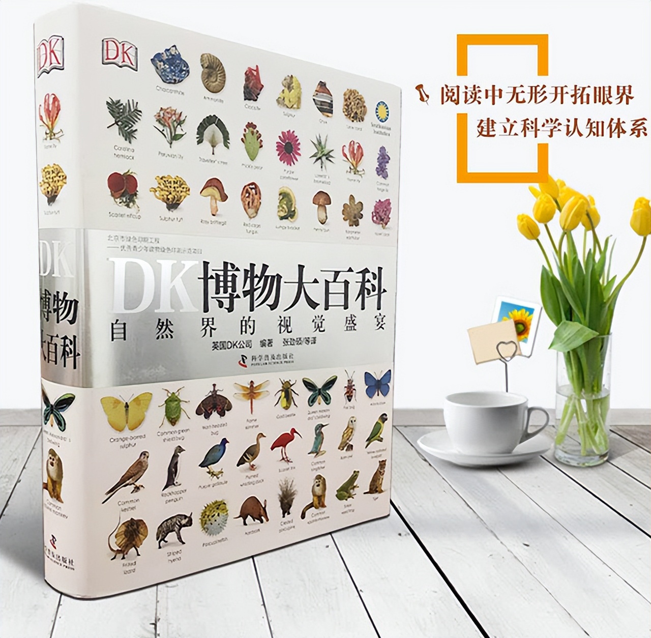 新东方直播间董宇辉录屏,新东方直播间董宇辉讲英语