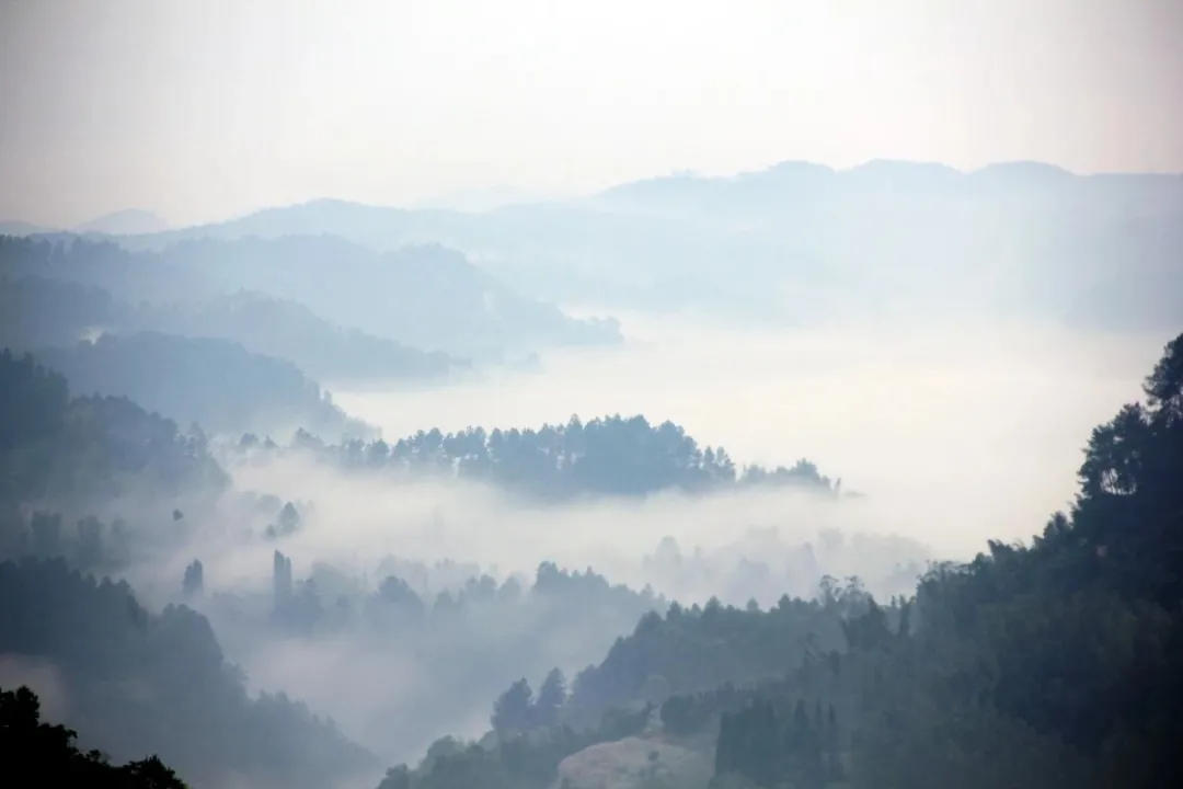 内江网红夜景打卡景点视频,内江打卡风景