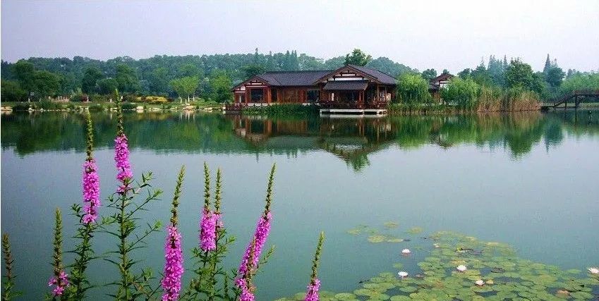 苏州旅游团七日游,苏州旅游团1日游