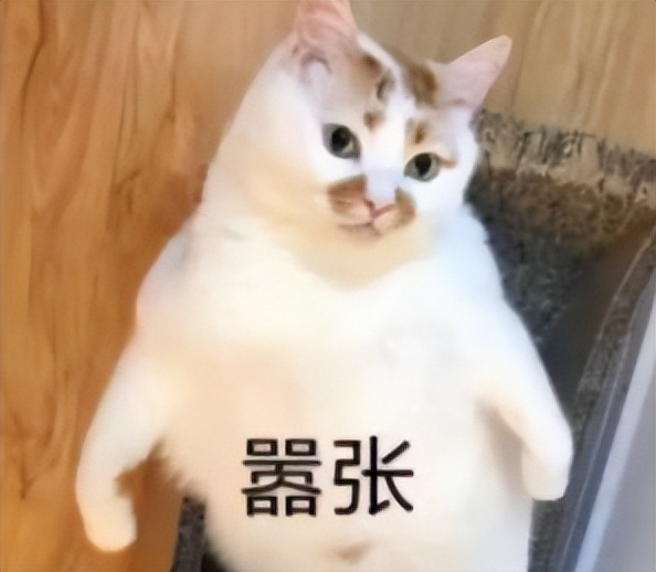 天热最馋这道菜原汁原味,清凉解暑绿豆糕细腻绵软入口即化