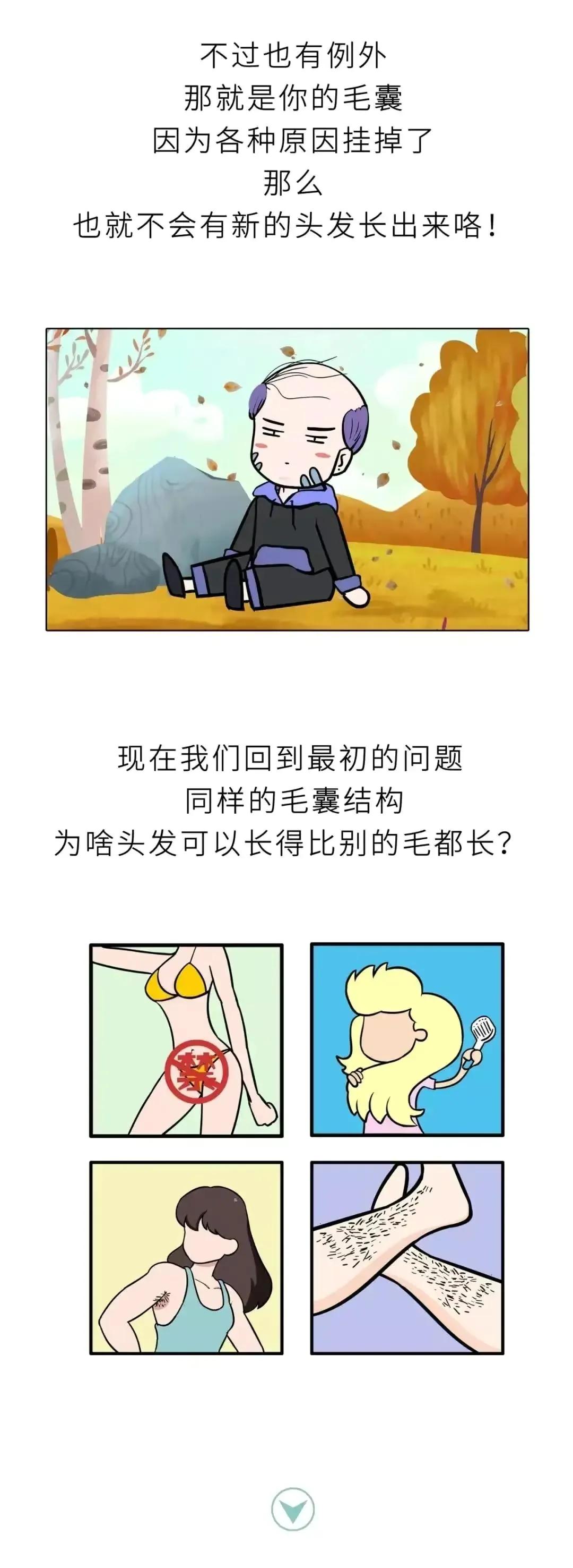 头发可以一直长，为什么“隐*处私**”的毛不能一直生长？