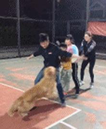 月老看事,月老吐血视频