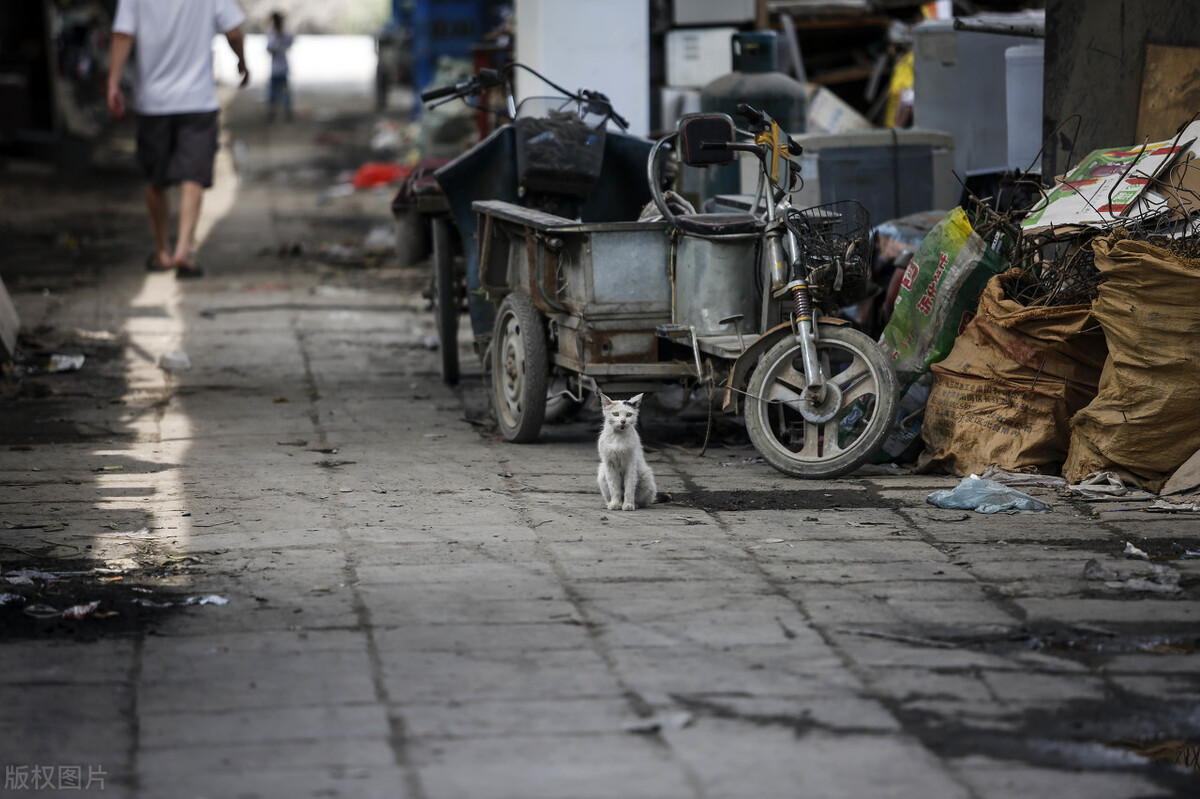 收废品怎么才能挣1000,靠收废品挣200
