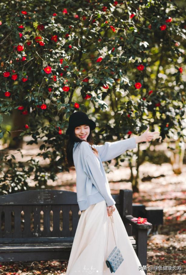 世界花园风景,世界花园