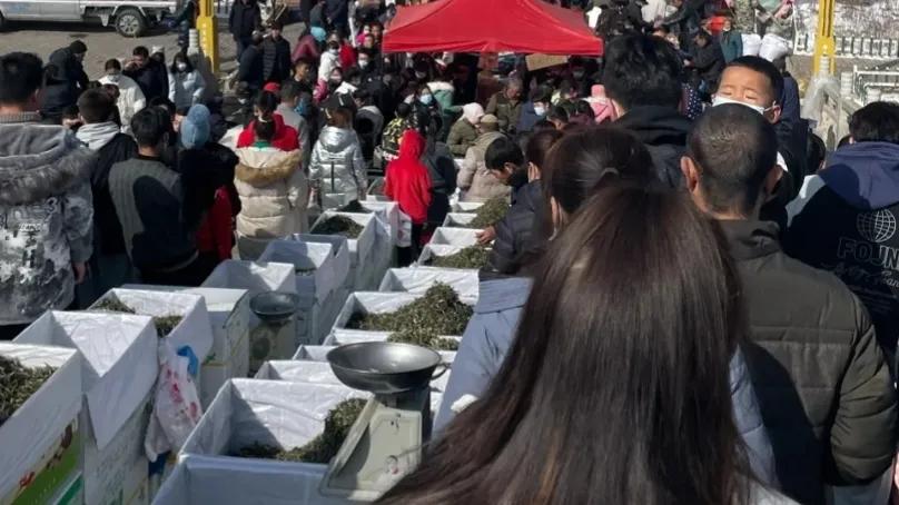 农村老年人赚钱项目,农村赚钱方法