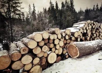 锯末小火炉,木炭小火炉室内家用