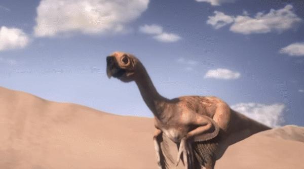 为什么感觉母鸡不用受精，却能天天下蛋？人类利用了鸡身上的bug