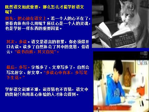 你认为什么是语文,你认为什么是语文呢