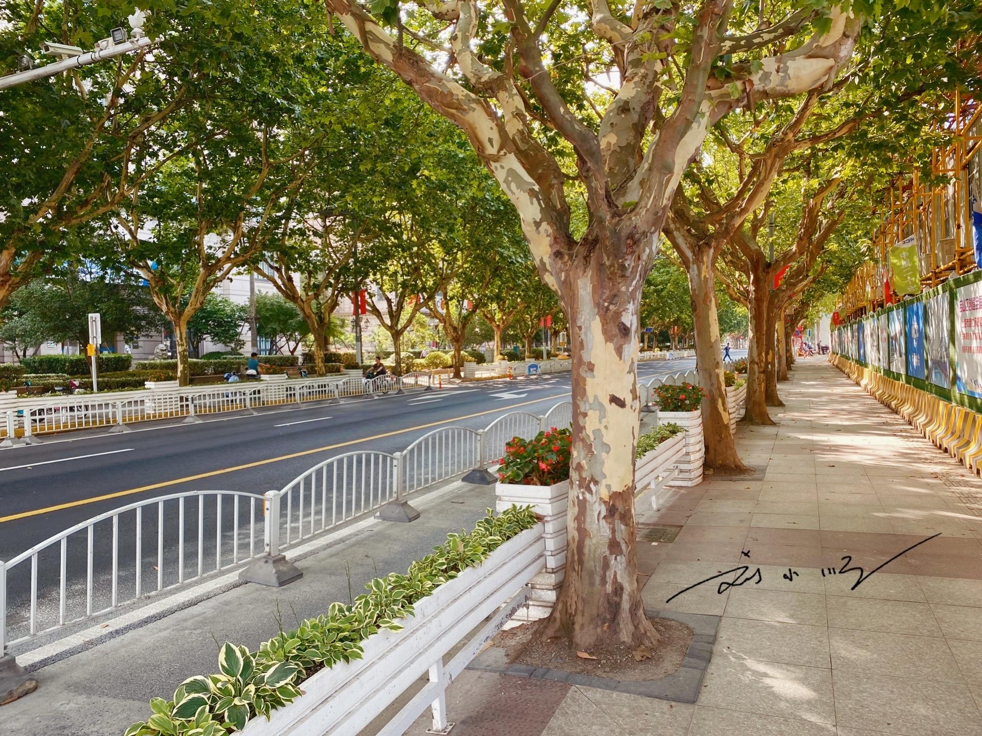 上海北部发展前景,上海郊区哪个发展最好