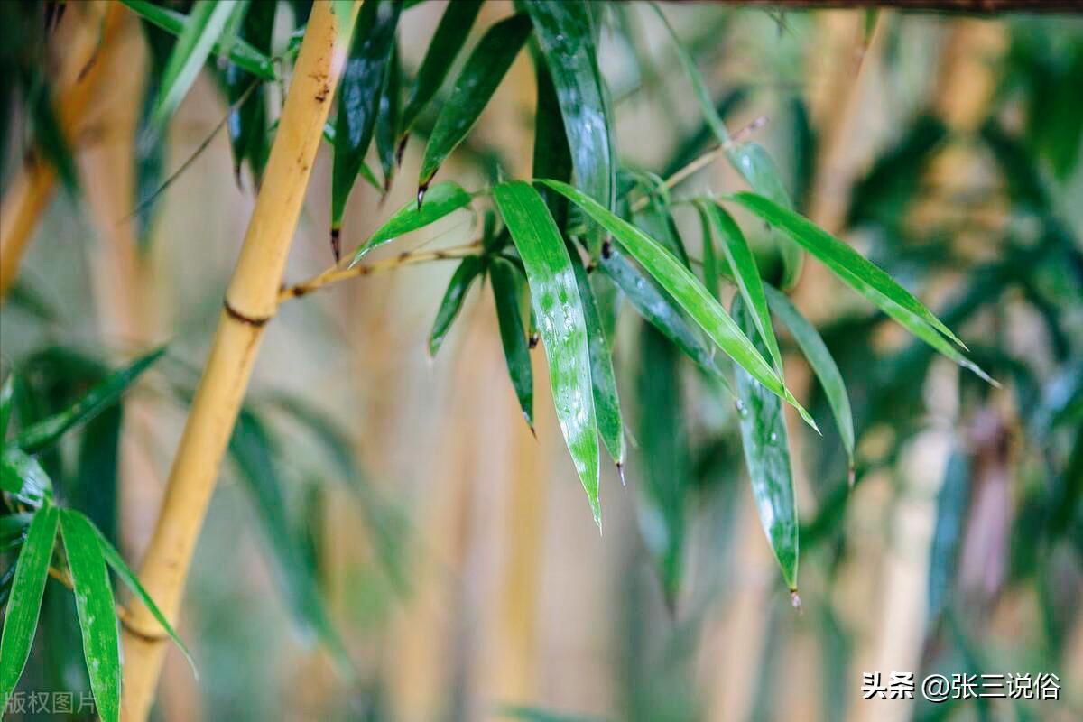 明天换甲，是“天恩破天火，有雨下不来”：啥是天恩日？有啥预兆