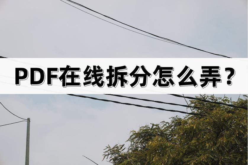 pdf如何拆分长图打印,pdf如何拆分多个页面