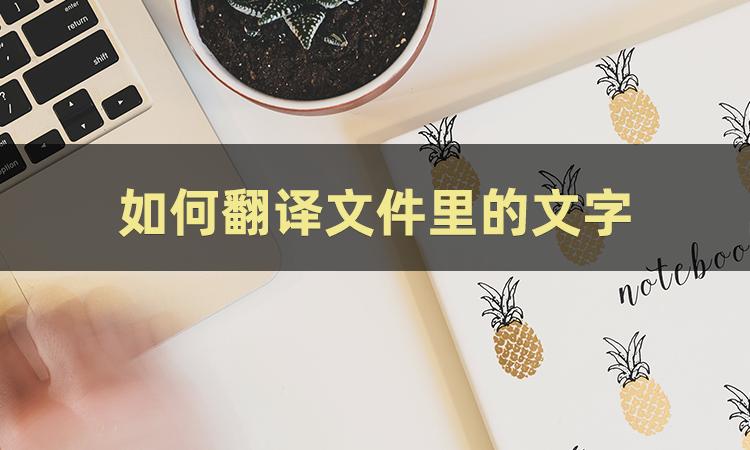 文档翻译技巧,文档翻译中文后怎么排版