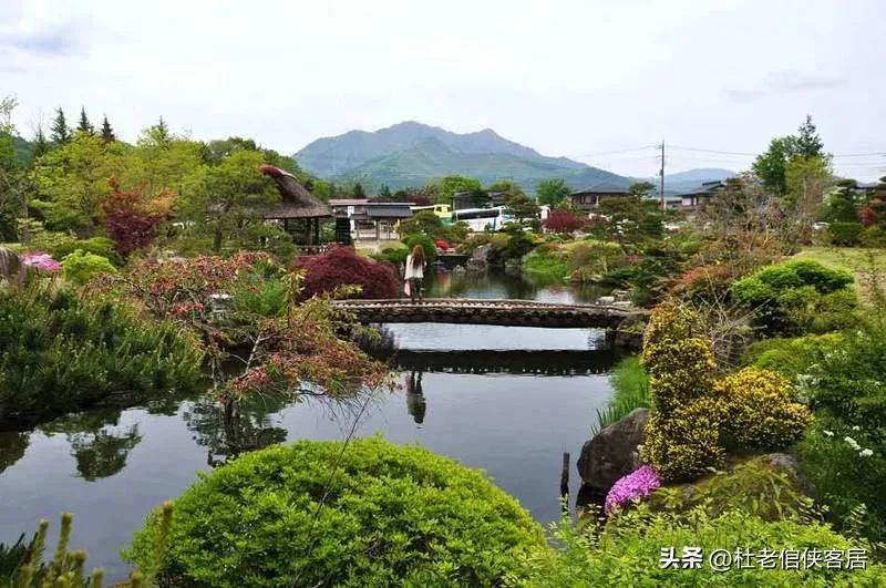 日本忍野八海值得去吗,忍野八海游玩