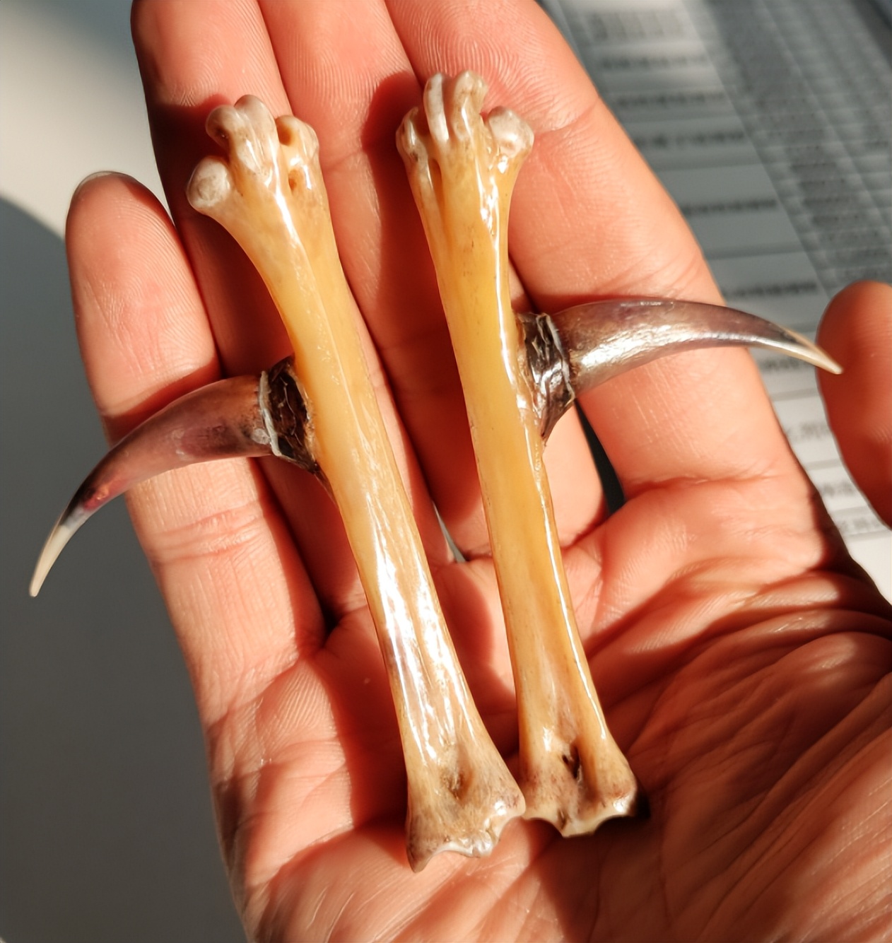 鸡爪文玩最高成交价,鸡爪子文玩一对能卖多少钱