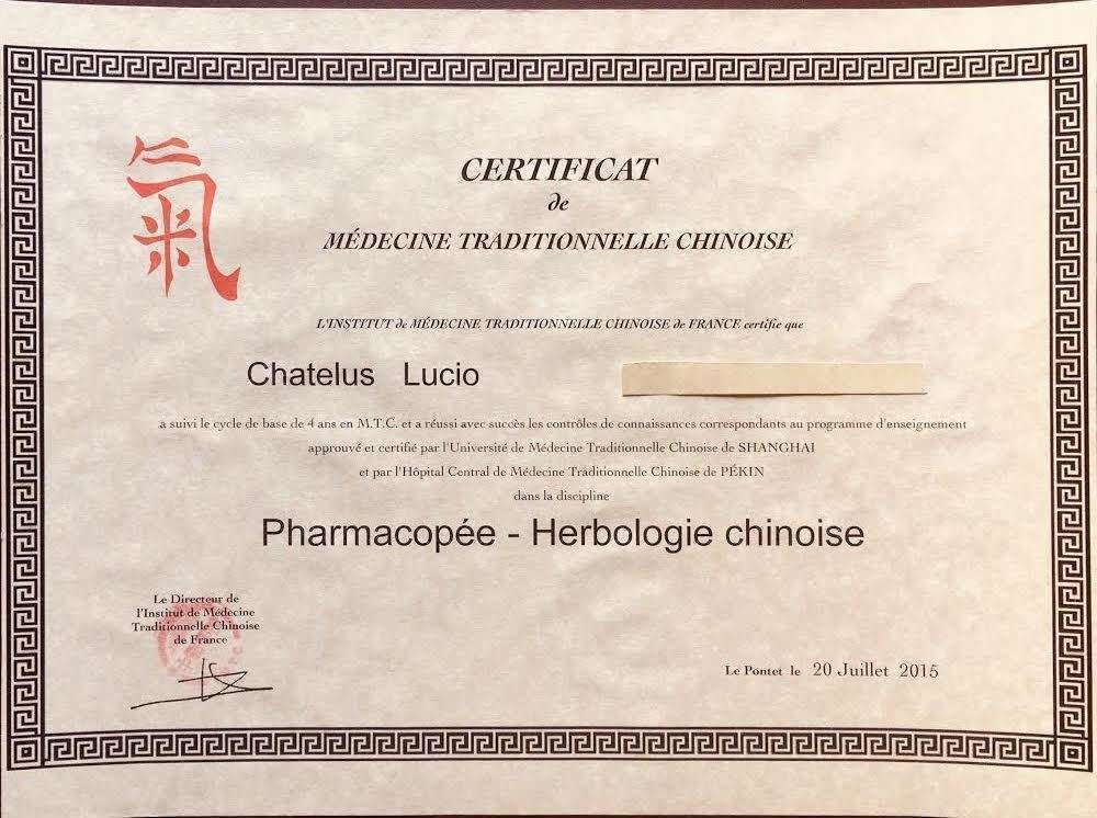 法国的国宝级老中医,中医药治老狗