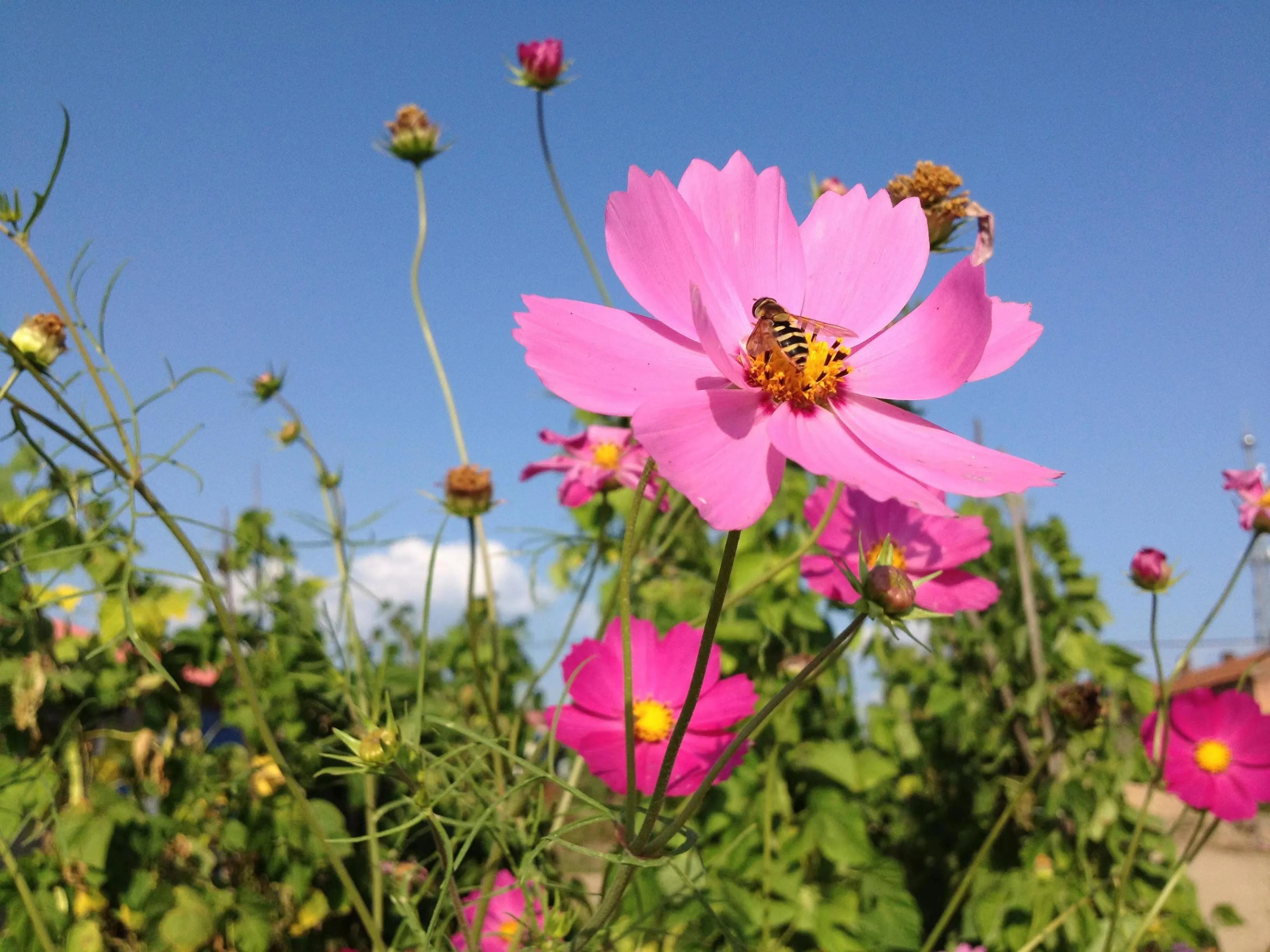 沃野甘肃话,甘肃话沃野的来源