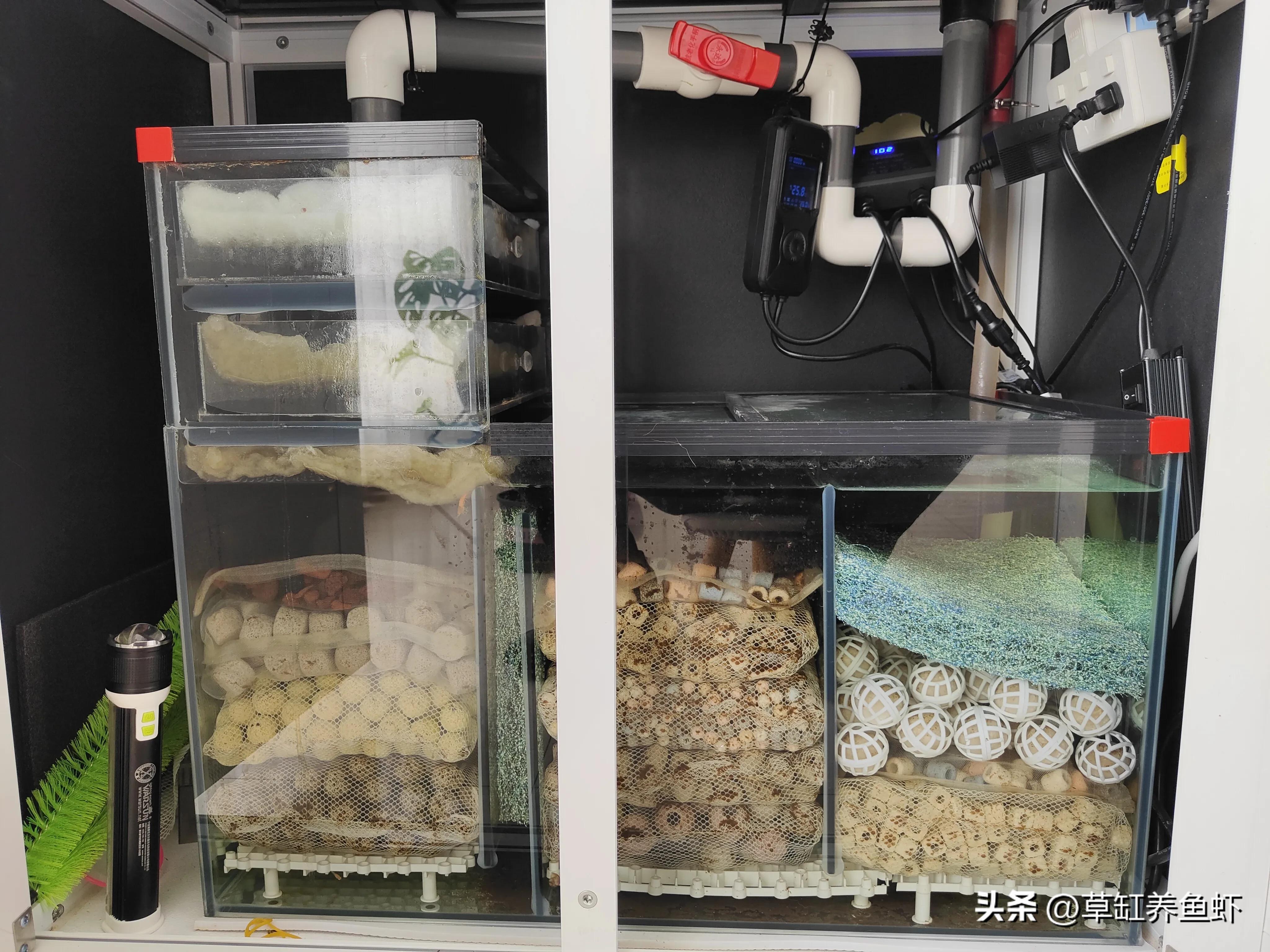 养鱼最强大的过滤桶,鱼缸养鱼必备过滤