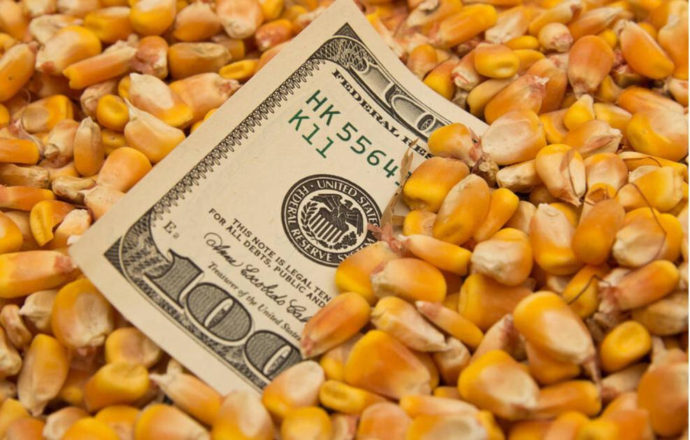 就在刚刚，中国新消息公布，中国重新接盘美债，缓和中美关系