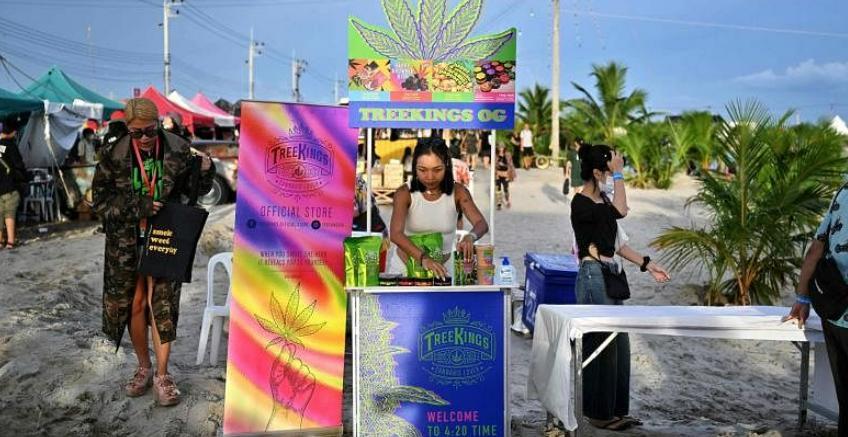 要为“娱乐*麻大**”开绿灯？泰国，看来真要成为一个“麻香之国”了