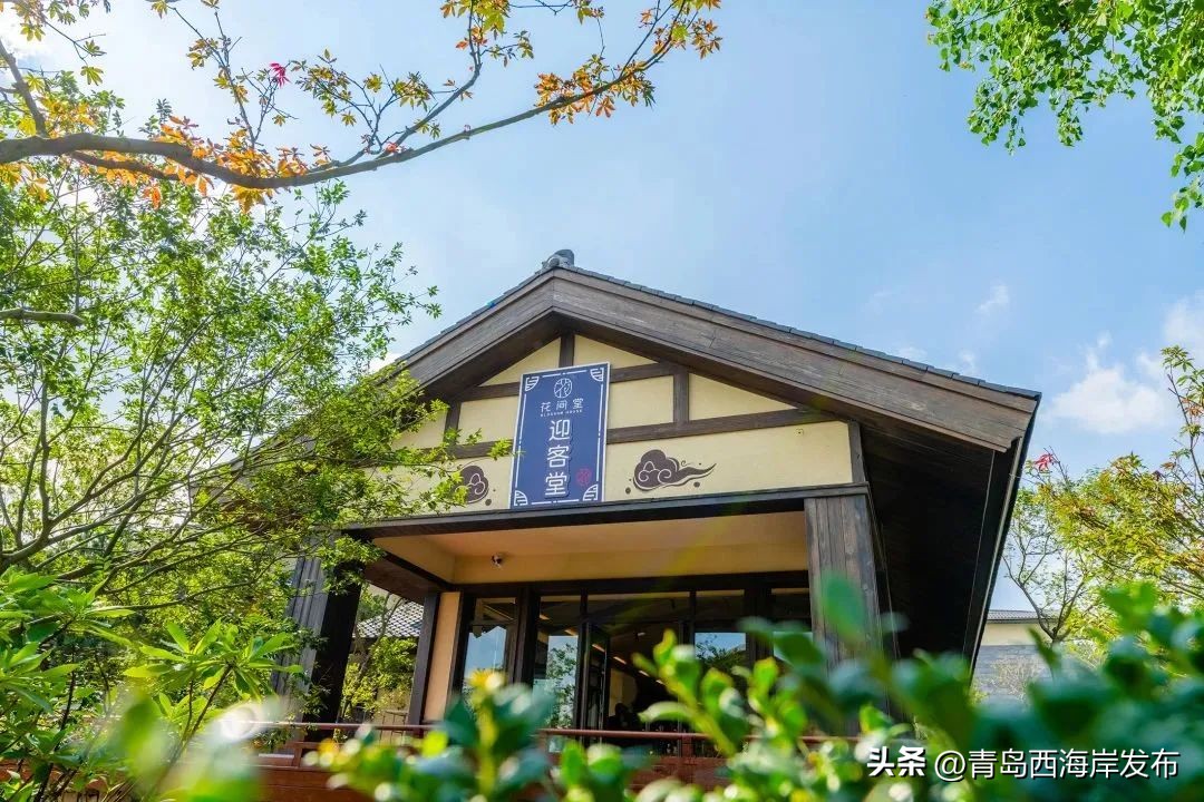 现实版小森林，这些藏在西海岸周边的乡野太治愈