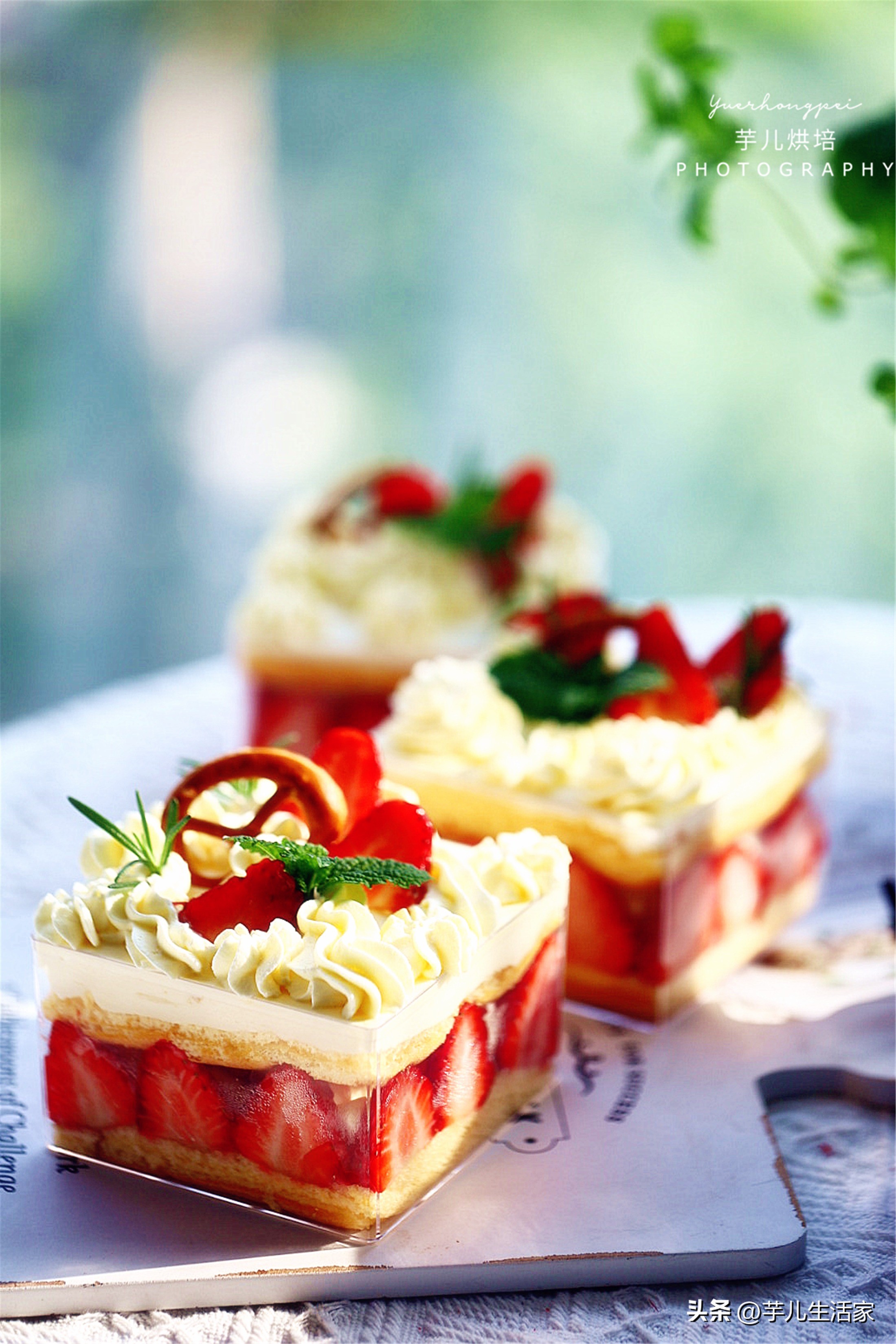 春游必备小甜品蛋糕,夏日野餐必备盒子蛋糕