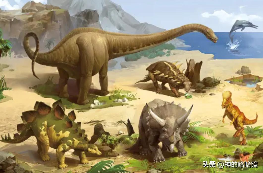 只有小学文化的农村妇女，能通过外星人给人治病？真的假的？