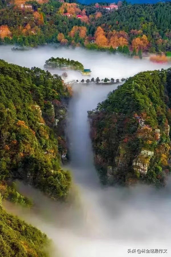 投资理财如何入门自学,理财知识新手如何投资理财才赚钱