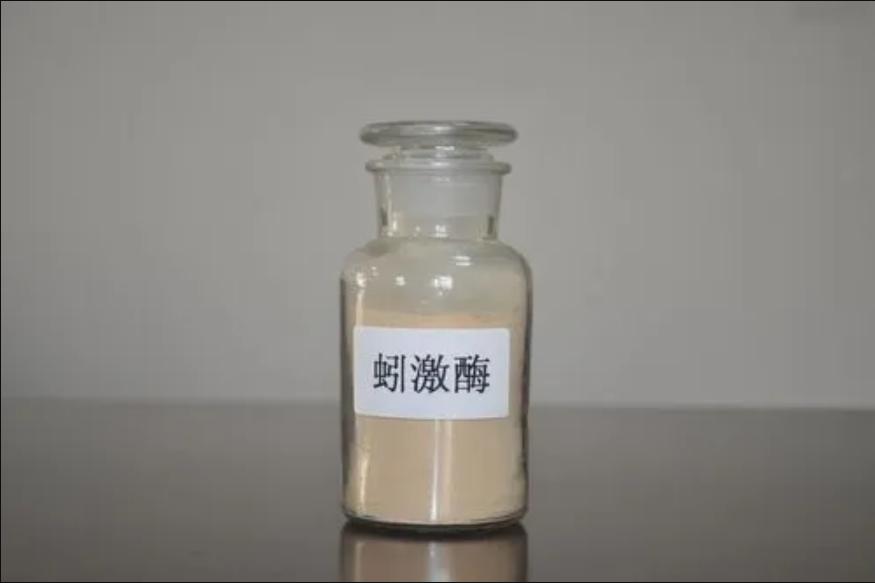 用什么来诱捕野生蚯蚓,电捕野生蚯蚓为什么禁止