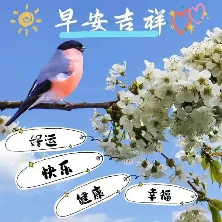 庚子日柱2023年癸卯年运势,癸卯年2023年哪个月出生最好