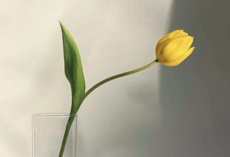 面对孩子早恋大家都怎么解决,父母应该怎样应对孩子早恋