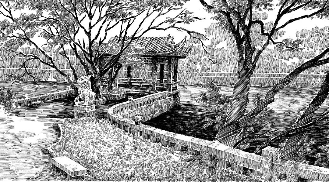 回忆1982年生活,1982年你过得怎么样