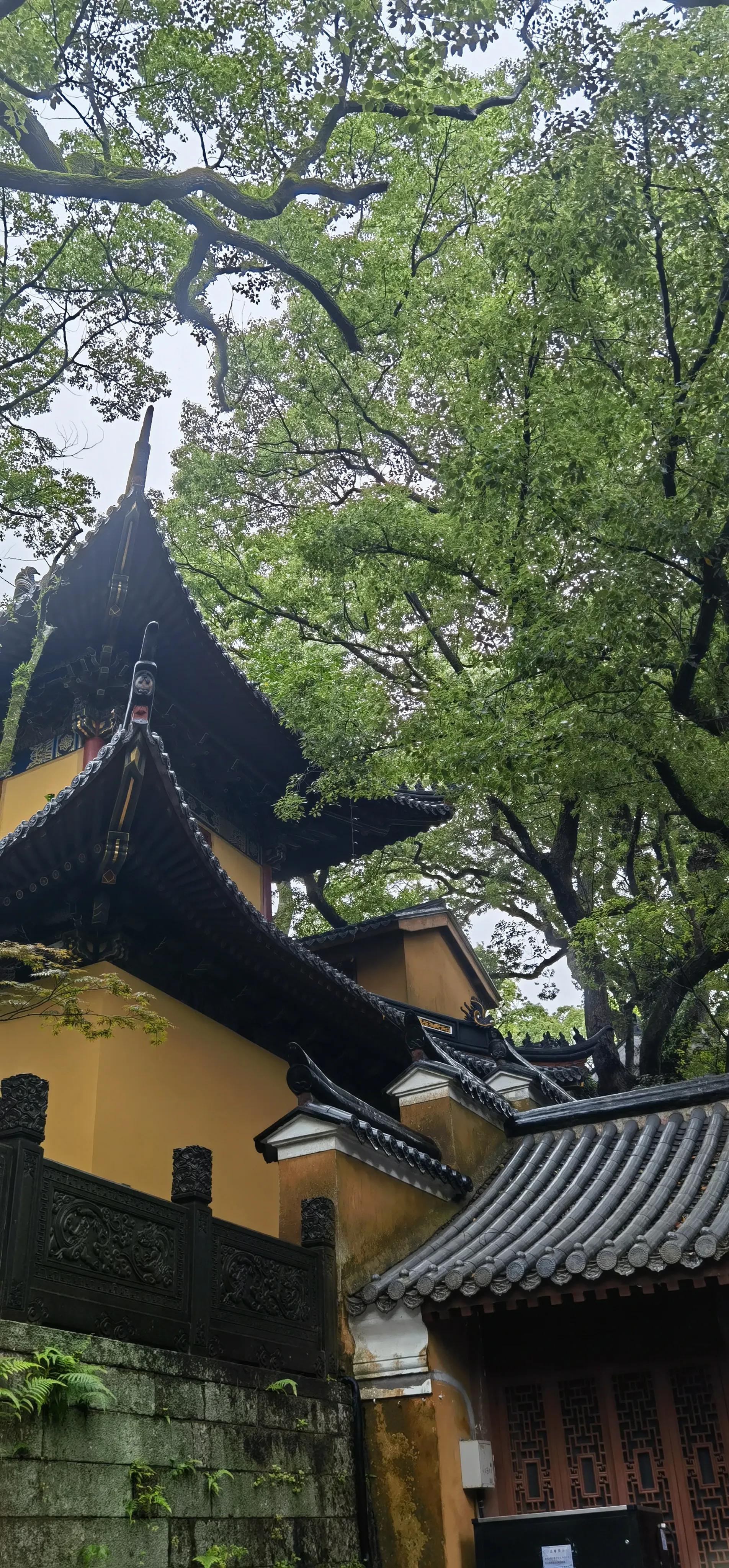 普陀山一天祈福攻略,普陀山心灵的洗礼