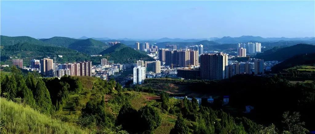 如果你要写盐亭，就不要只写盐亭