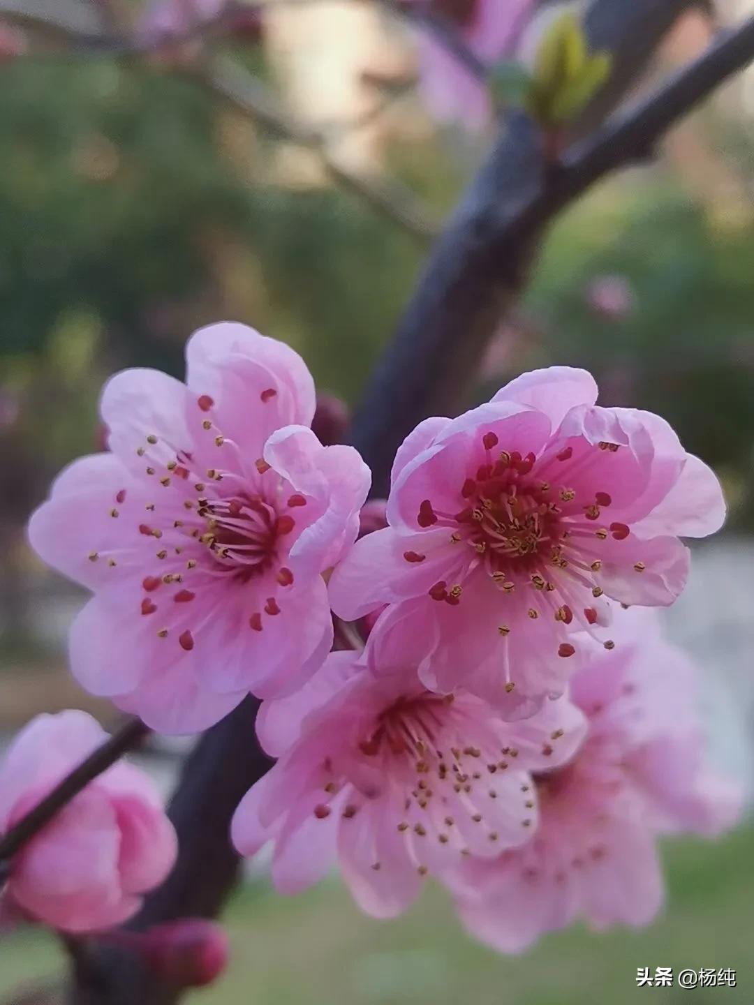 谈谈助力高考作文杨纯/文