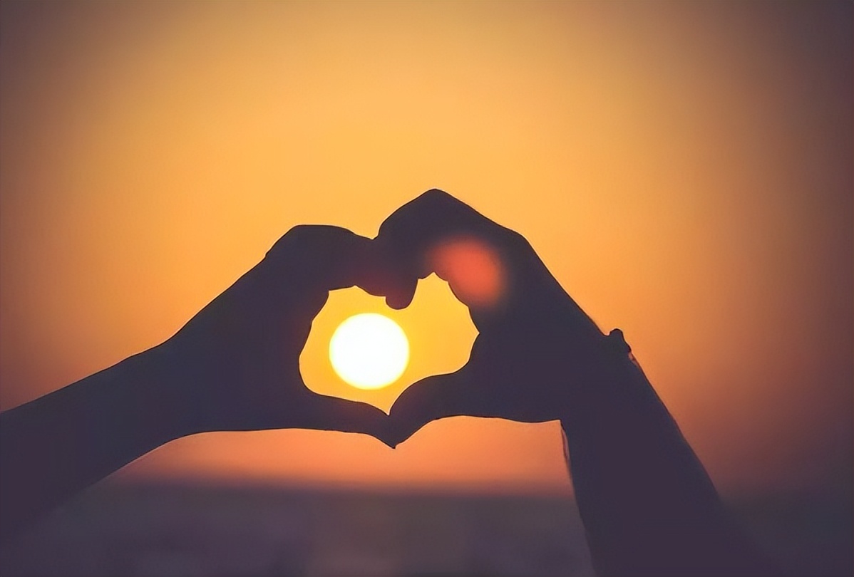 生肖龙的婚姻与爱情,生肖龙的婚姻与命运2006