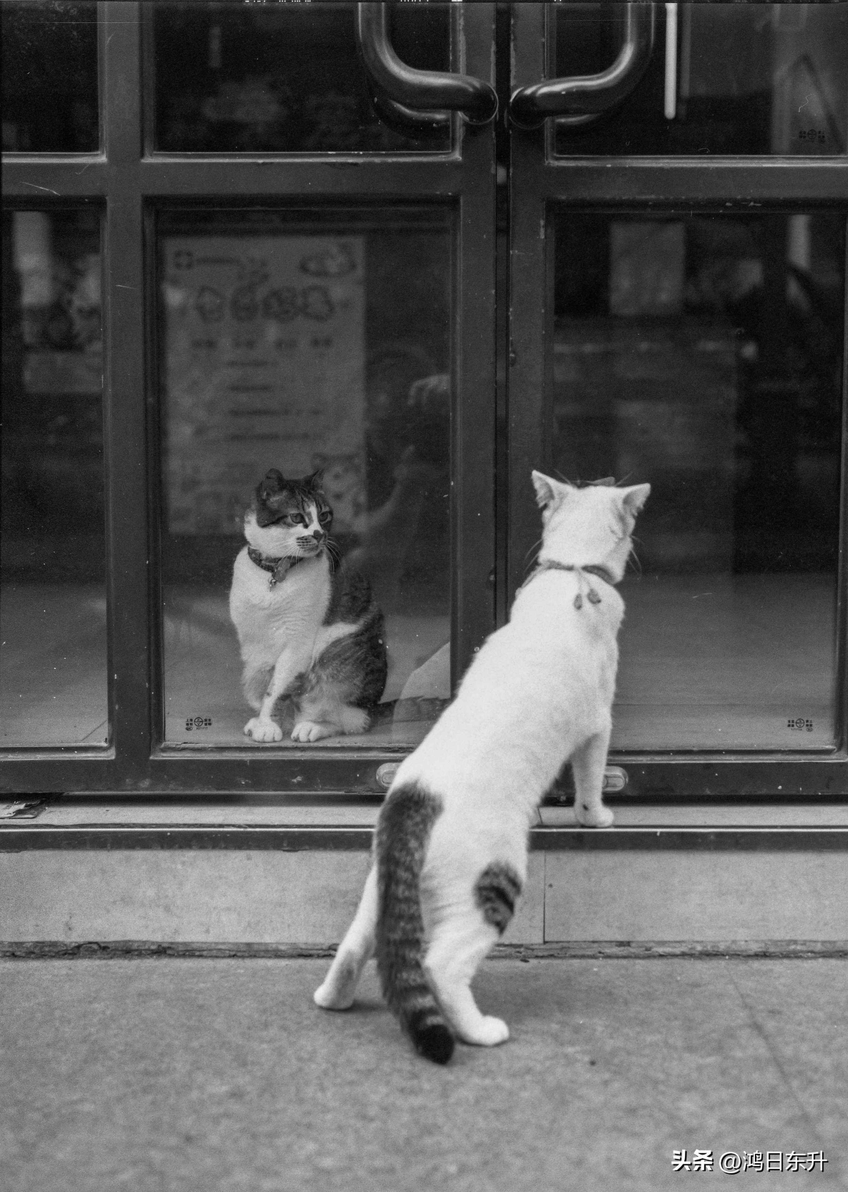 宾得645Nii老胶片相机值得拥有