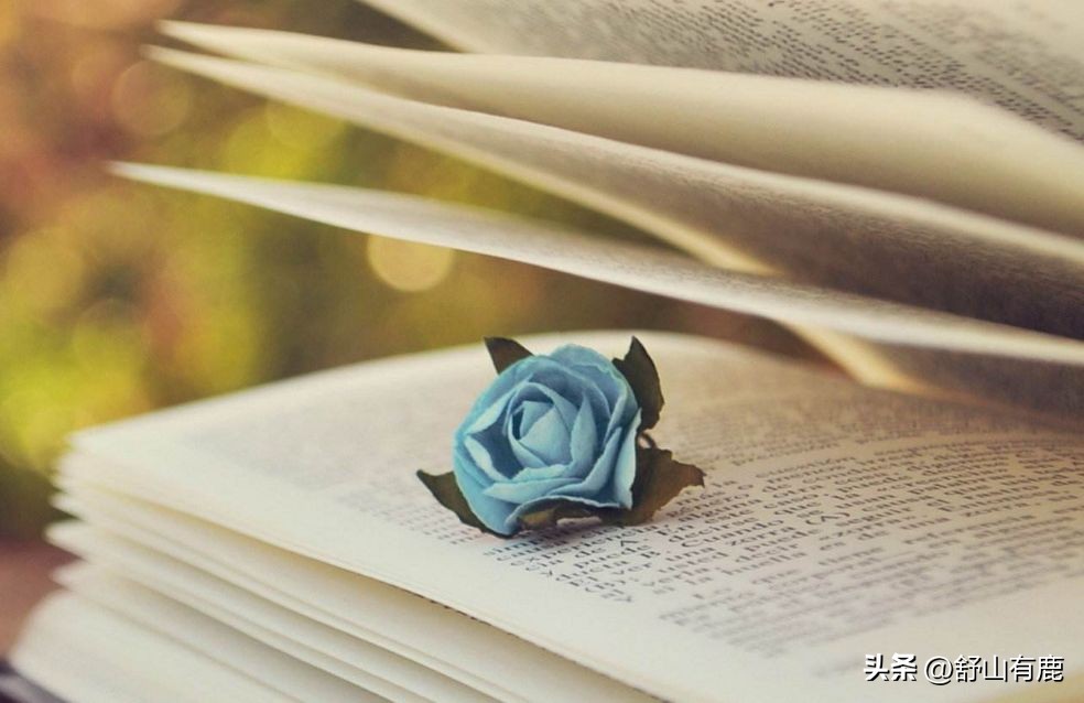 命硬表现,命硬是什么征兆