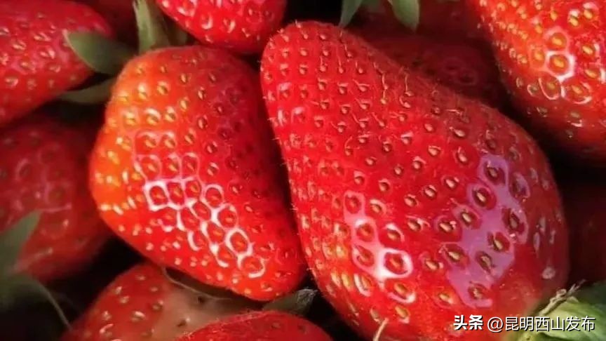 “百味西山”引发网友热议，团结、碧鸡、海口三地美食成焦点