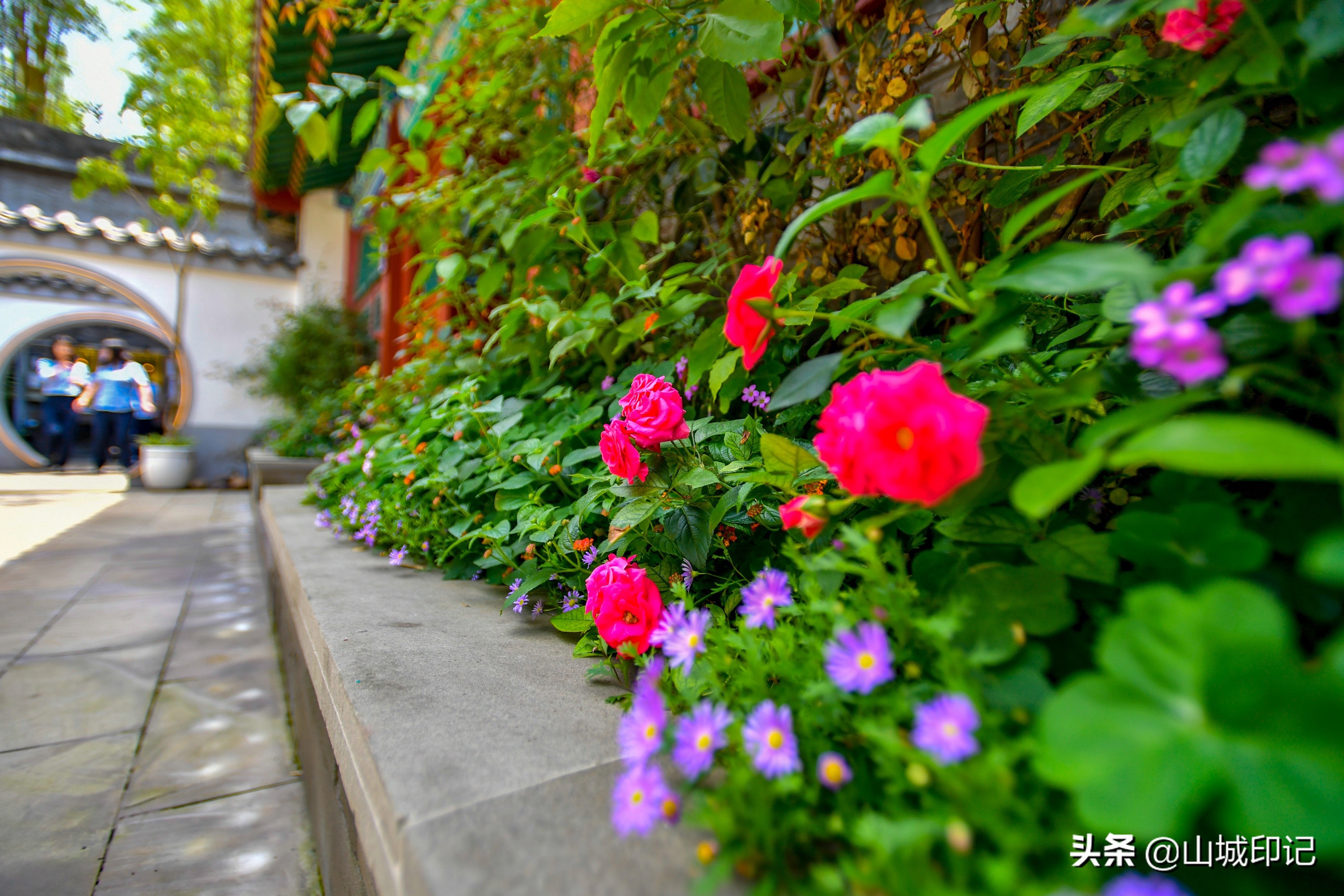閲嶅簡鍙弬瑙傜殑宸ヤ笟鍥尯,澶編浜嗗揩鏉ラ噸搴嗘墦鍗″惂